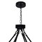 Cwi Lighting Arya 45 Light Chandelier With Black Finish 1020P39-45-101 - alternate 2
